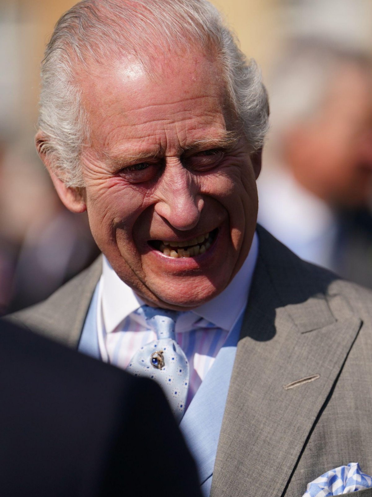 King Charles III of the United Kingdom attend a garden party at Buckingham Palace in London on May 8, 2024 (Jordan Pettitt/PA Images/Alamy)