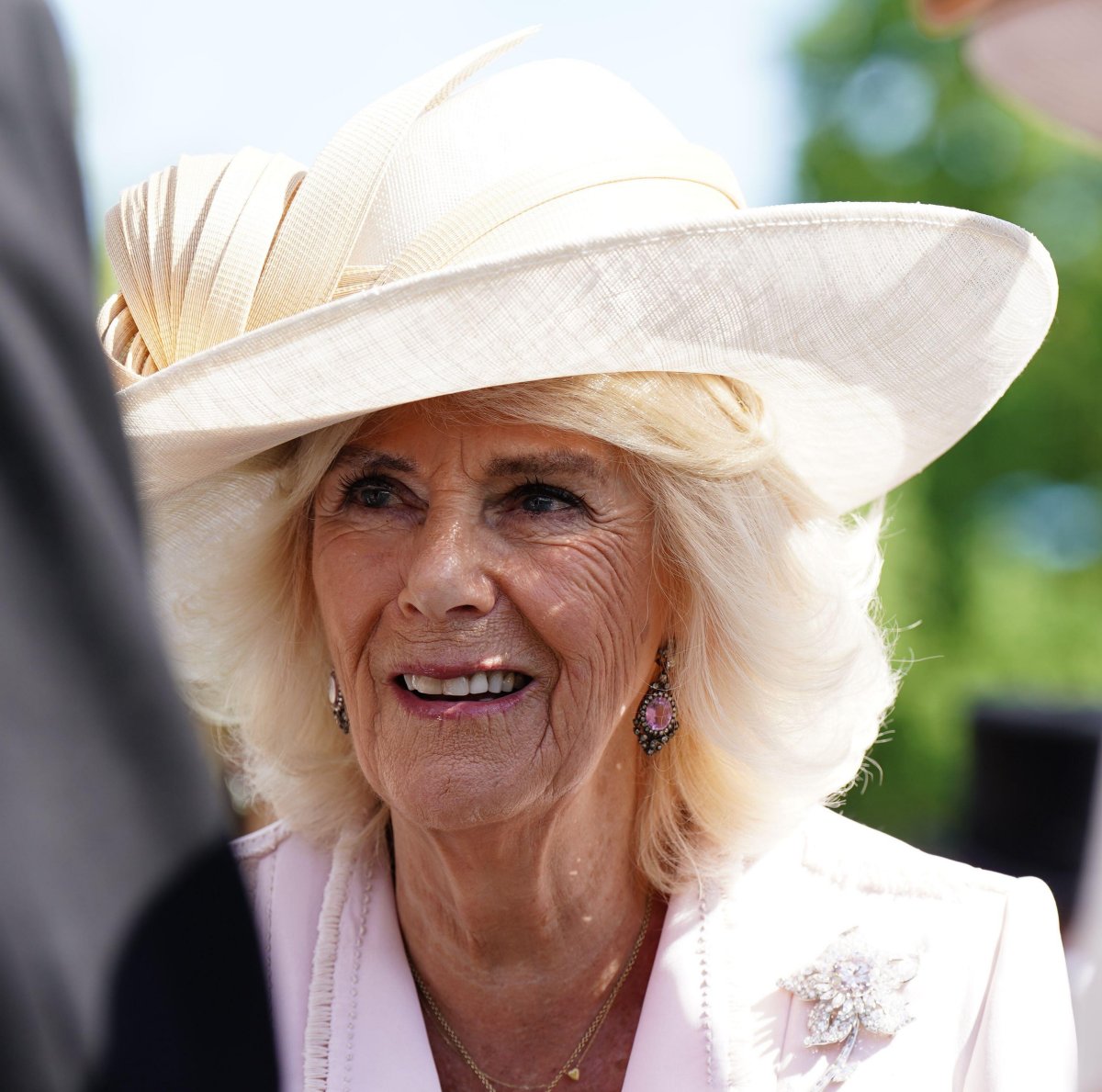 Queen Camilla of the United Kingdom attends a garden party at Buckingham Palace in London on May 15, 2024 (Aaron Chown/PA Images/Alamy)