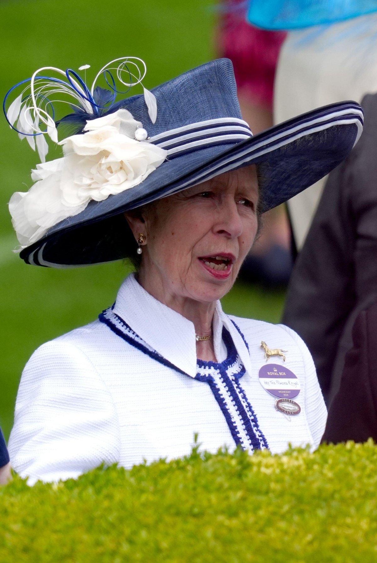 The Princess Royal attends day two of Royal Ascot on June 19, 2024 (David Davies/PA Images/Alamy)