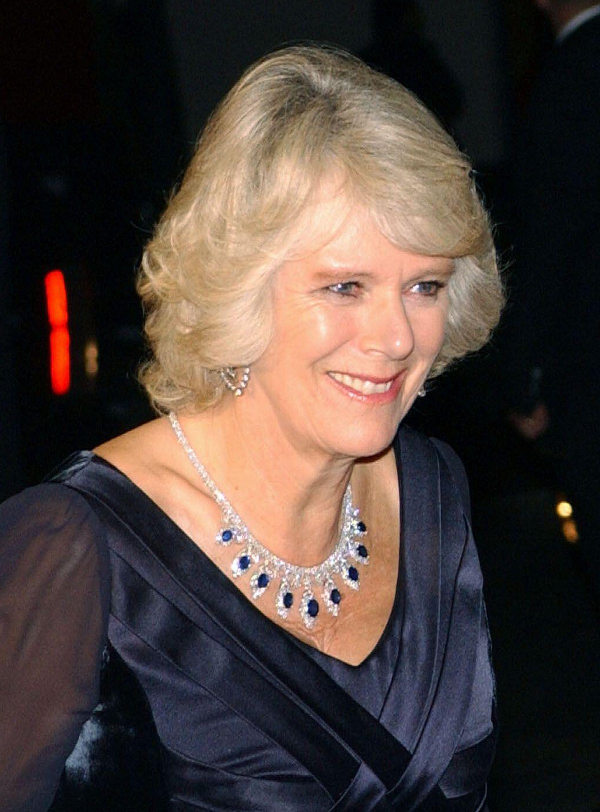The Duchess of Cornwall attends a Prince's Trust gala at the Roundhouse in London on November 15, 2006 (Anwar Hussein/Alamy)