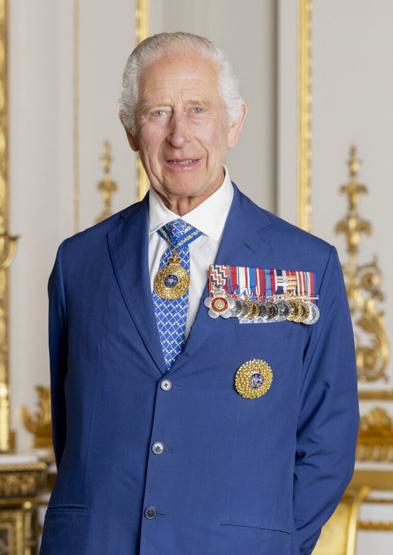 Queen Camilla Wears Special Symbolic Brooches in New Official Portraits