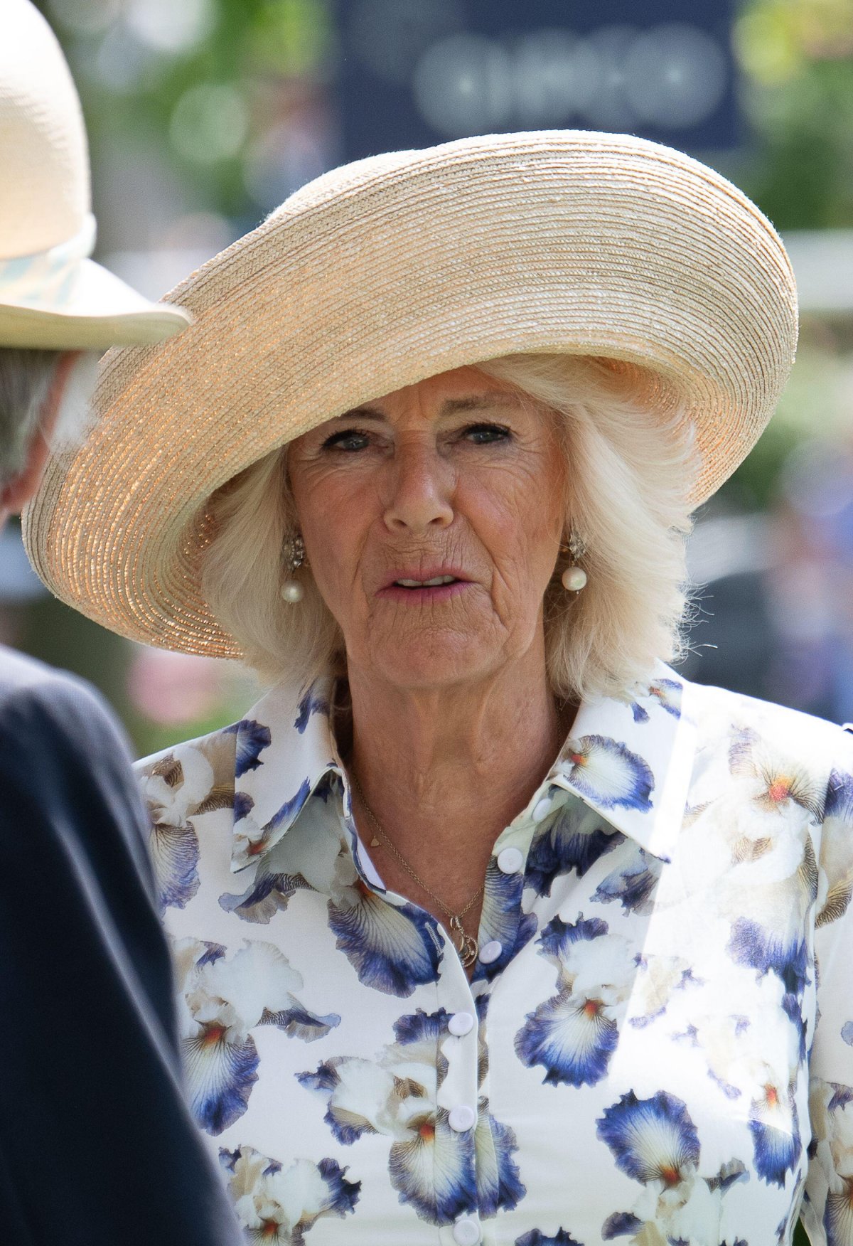 Queen Camilla attends King George Day at Ascot Racecourse on July 27, 2024 (Maureen McLean/Alamy)