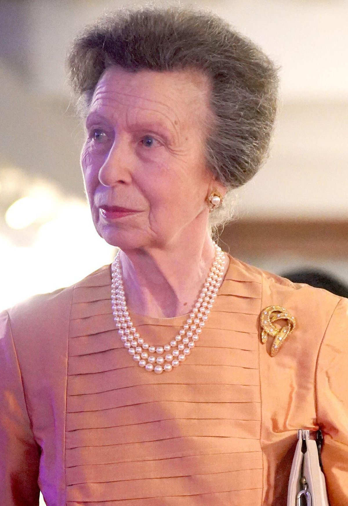 The Princess Royal arrives for a reception at the British High Commission in Colombo, Sri Lanka, on January 12, 2024 (Jonathan Brady/PA Images/Alamy)