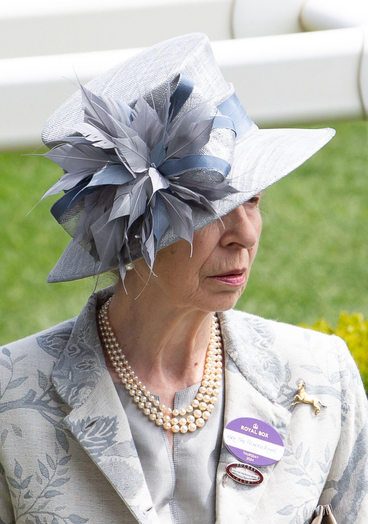 The Princess Royal attends Royal Ascot on June 20, 2024 (Maureen McLean/Alamy)
