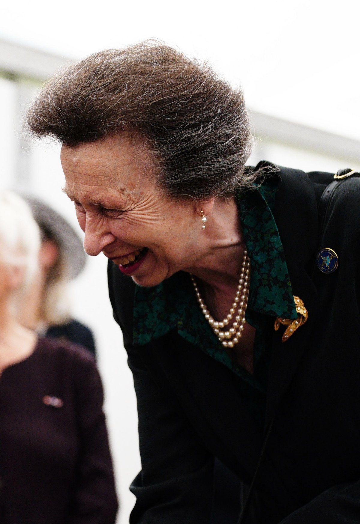 The Princess Royal speaks to veterans during a reception to commemorate the 80th anniversary of Battle of Arnhem at the Airborne Museum Hartenstein in Oosterbeek, Netherlands, on September 21, 2024 (Ben Birchall/PA Images/Alamy)