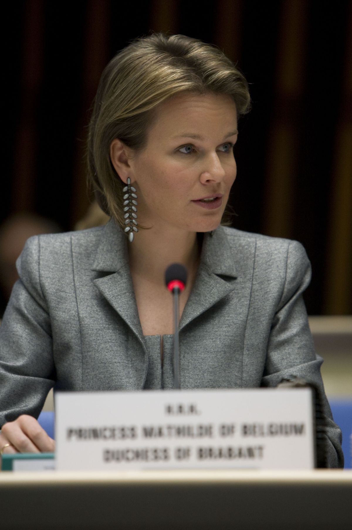 The Duchess of Brabant speaks at a World Health Organization Event, April 2010 (WHO)