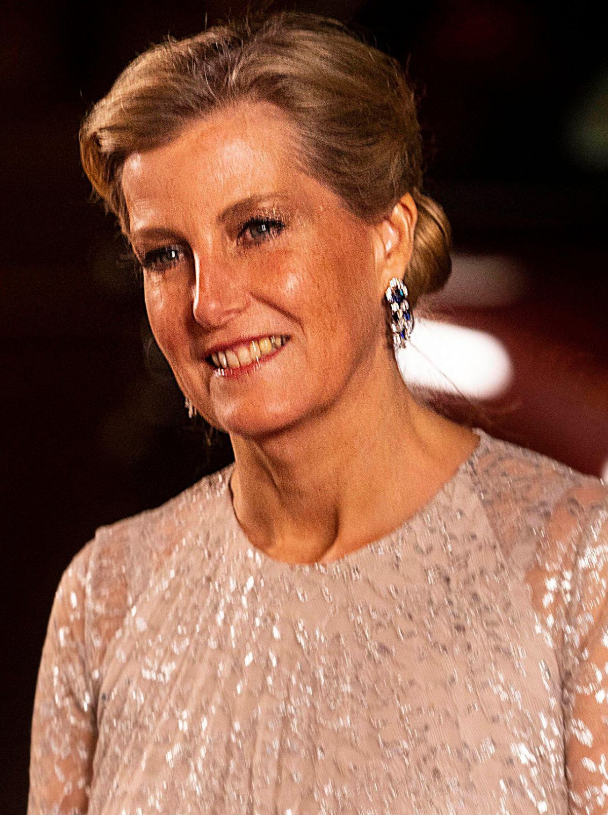 The Countess of Wessex attends the Royal Variety Performance at the Royal Albert Hall in London on December 1, 2022 (David Parry/PA Images/Alamy)