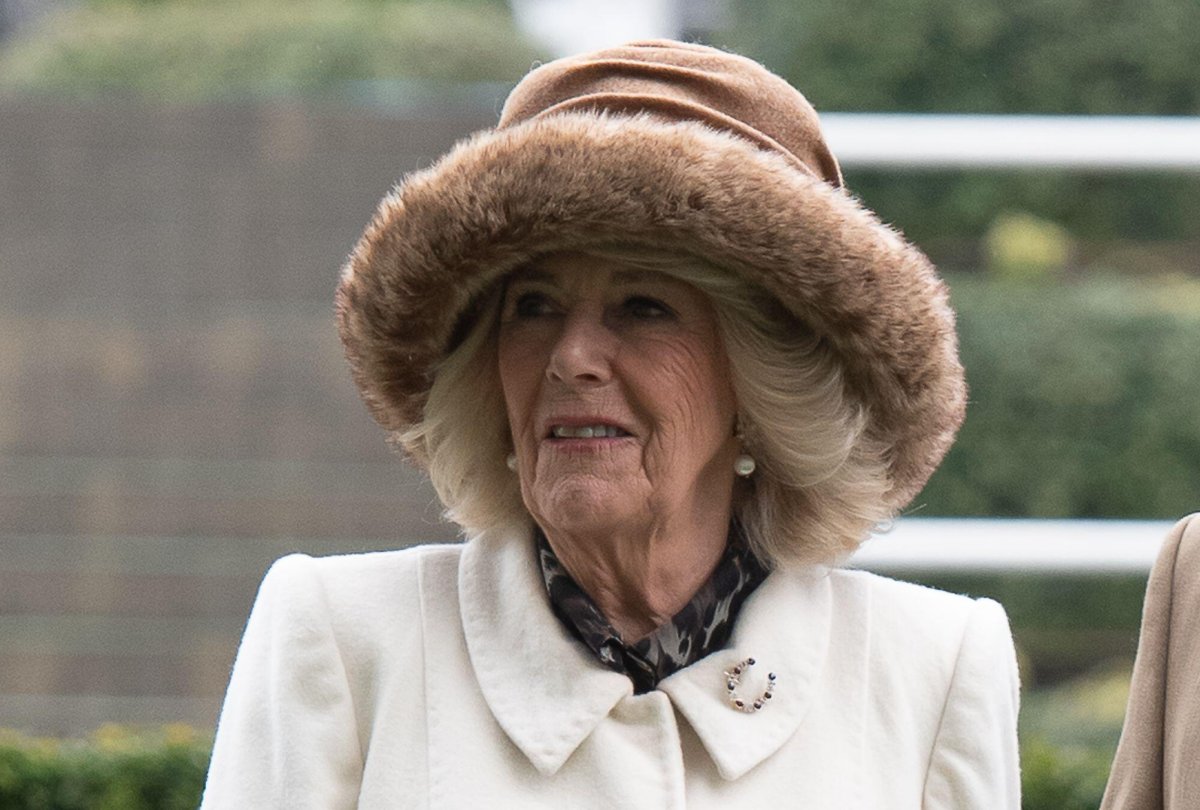 Queen Camilla attends the Betfair Ascot Chase Raceday on February 15, 2025 (Maureen McLean/Alamy)