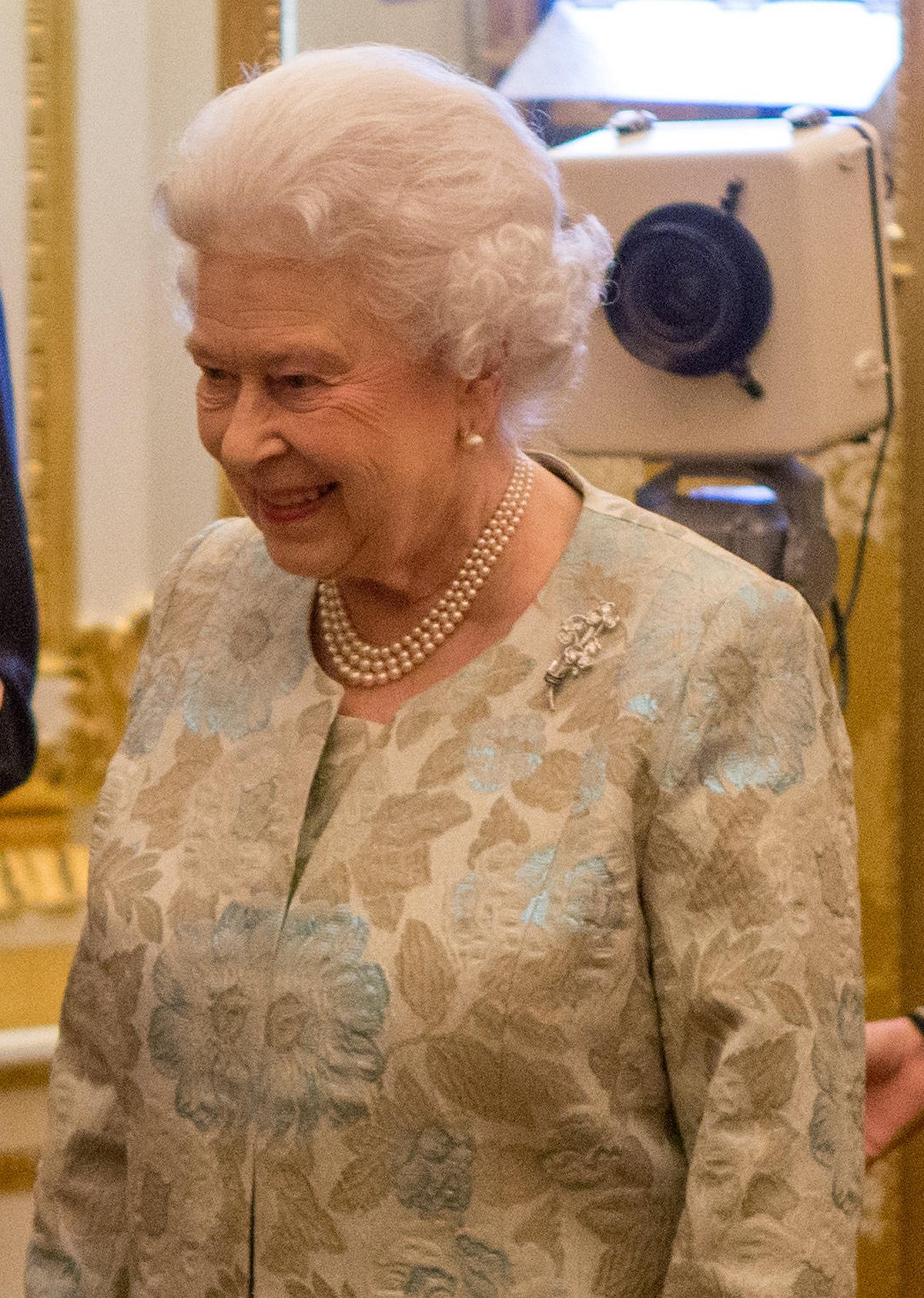 Queen Elizabeth II holds a reception for members of the Irish community at Buckingham Palace on March 25, 2014 (Steve Parsons/PA Images/Alamy)