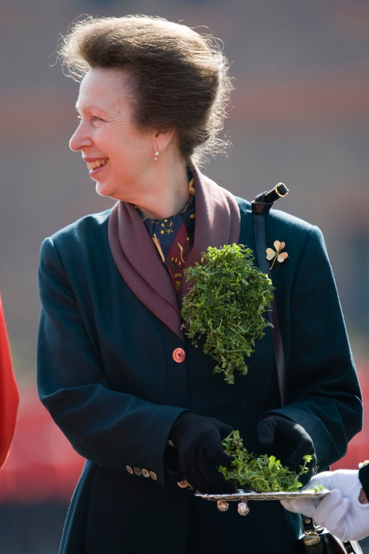 The Princess Royal presents shamrocks to the Irish Guards on St. Patrick's Day at Victoria Barracks in Windsor on March 17, 2009 (Newsphoto/Alamy)