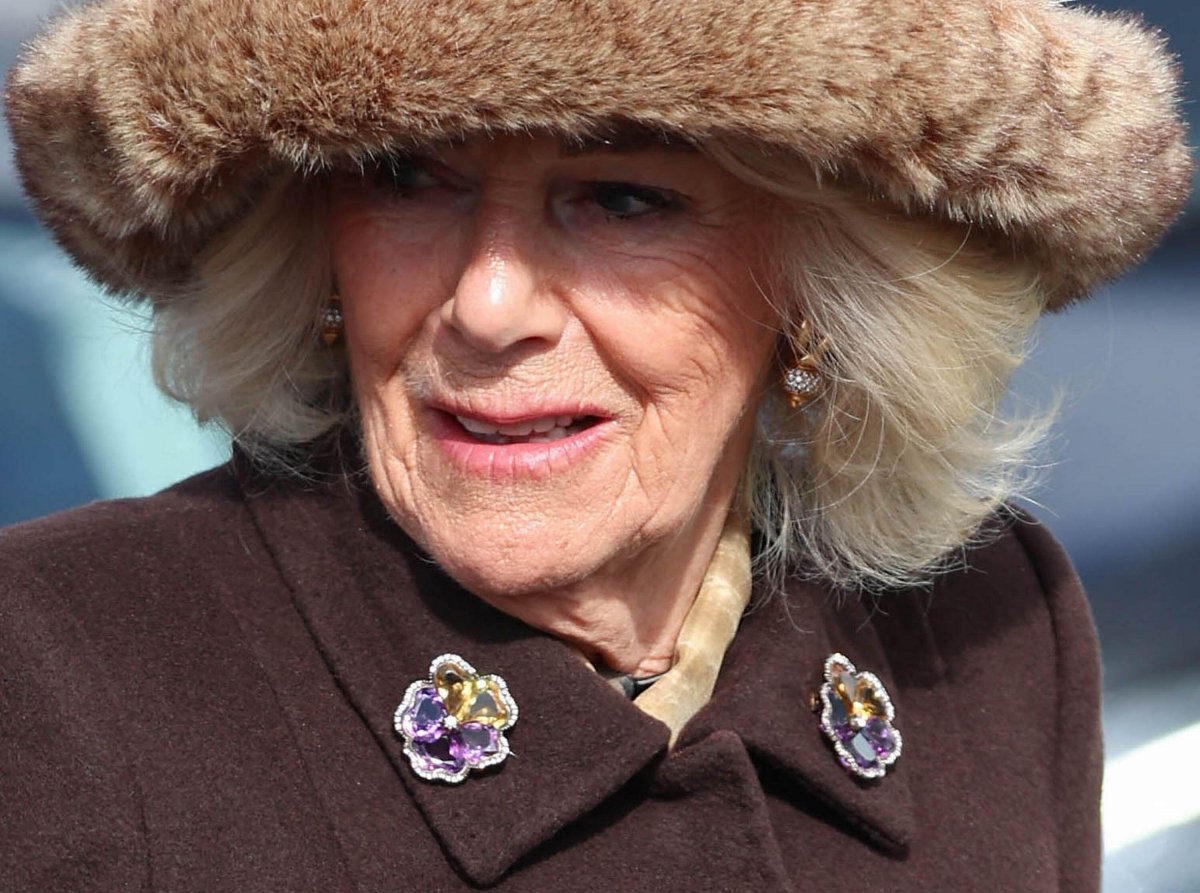 Queen Camilla attends the second day of the Cheltenham Festival in Gloucestershire on March 12, 2025 (Andrew Parsons/Alamy)