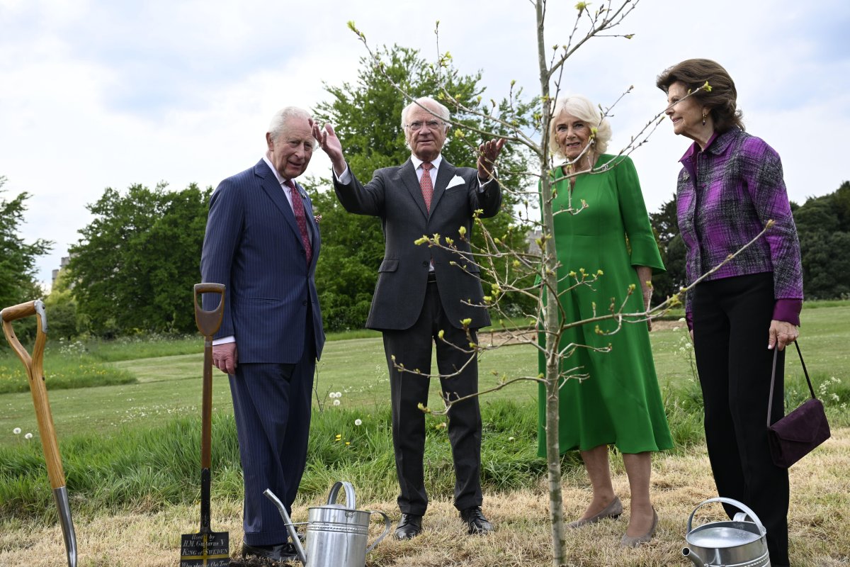 The King and Queen of Sweden and the King and Queen of the United Kingdom plant an oak tree from Solliden at Windsor Castle on May 1, 2025 (Fredrik Sandberg/TT News Agency/Alamy)