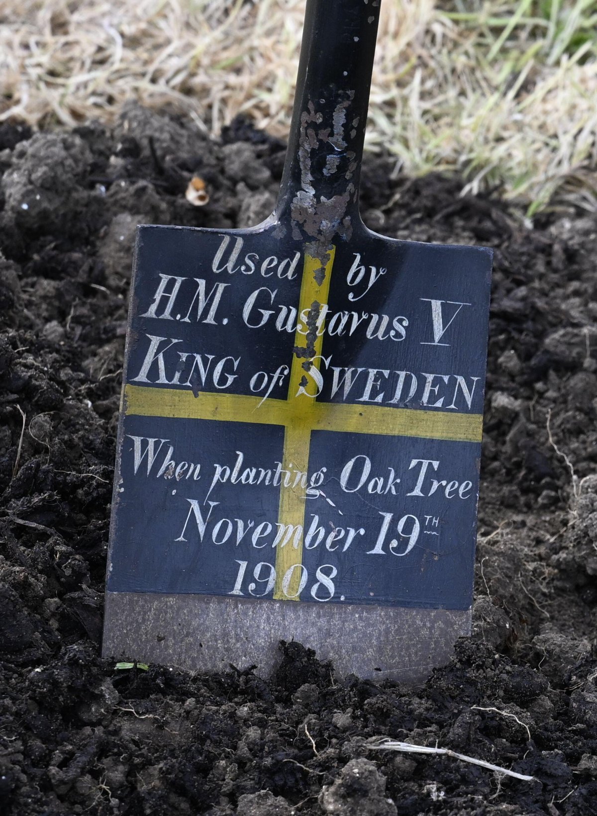 Using a spade once used by King Gustaf V, the King and Queen of Sweden and the King and Queen of the United Kingdom plant an oak tree from Solliden at Windsor Castle on May 1, 2025 (Fredrik Sandberg/TT News Agency/Alamy)