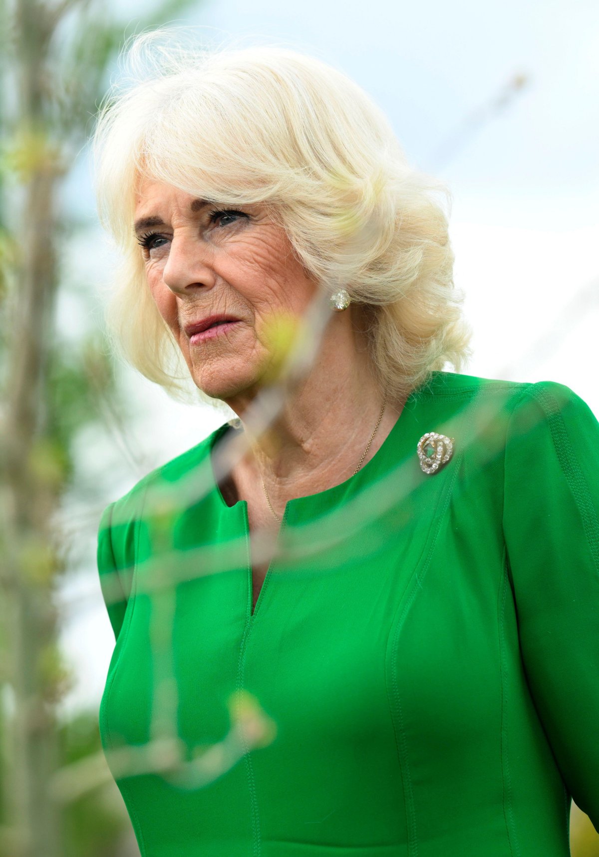 Queen Camilla watches as King Charles and King Carl XVI Gustaf plant an oak tree from Solliden at Windsor Castle on May 1, 2025 (Fredrik Sandberg/TT News Agency/Alamy)