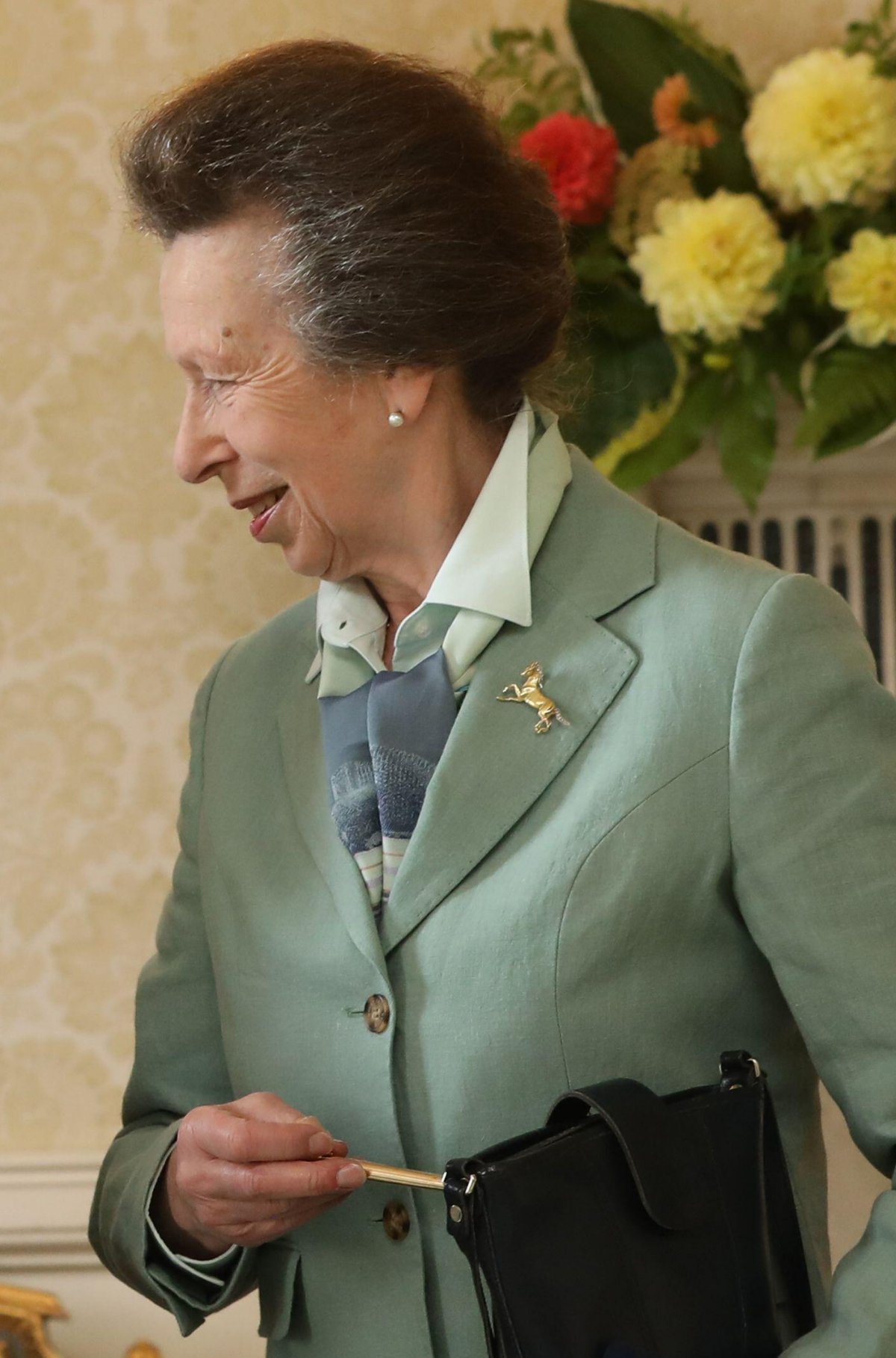 The Princess Royal calls on Irish President Michael Higgins and his wife, Sabina Coyne, at Aras an Uachtarain in Dublin on August 6, 2025 (Gareth Chaney/PA Images/Alamy)