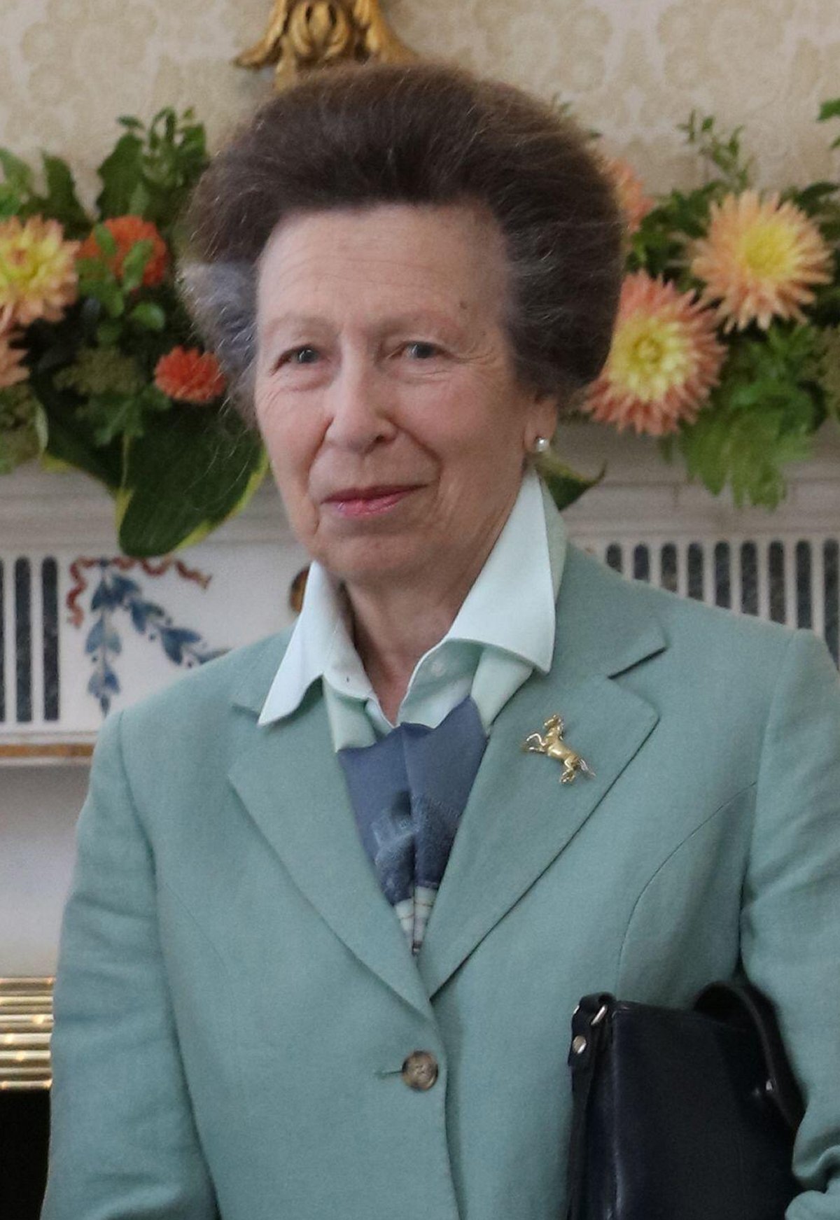 The Princess Royal calls on Irish President Michael Higgins and his wife, Sabina Coyne, at Aras an Uachtarain in Dublin on August 6, 2025 (Gareth Chaney/PA Images/Alamy)