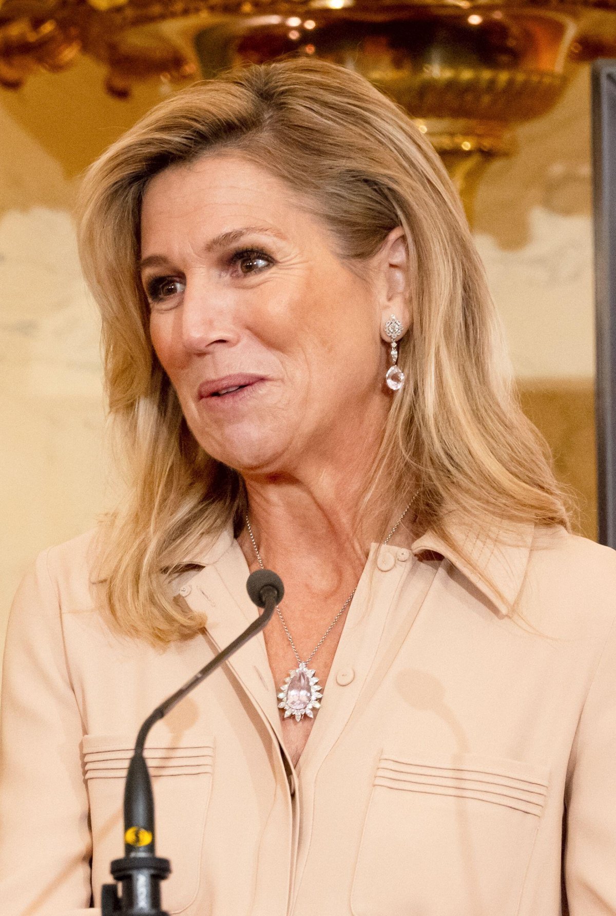 The Queen of the Netherlands presents the Appeltje van Oranje awards at Noordeinde Palace in The Hague on October 9, 2025 (LINA SELG/ANP/Alamy)