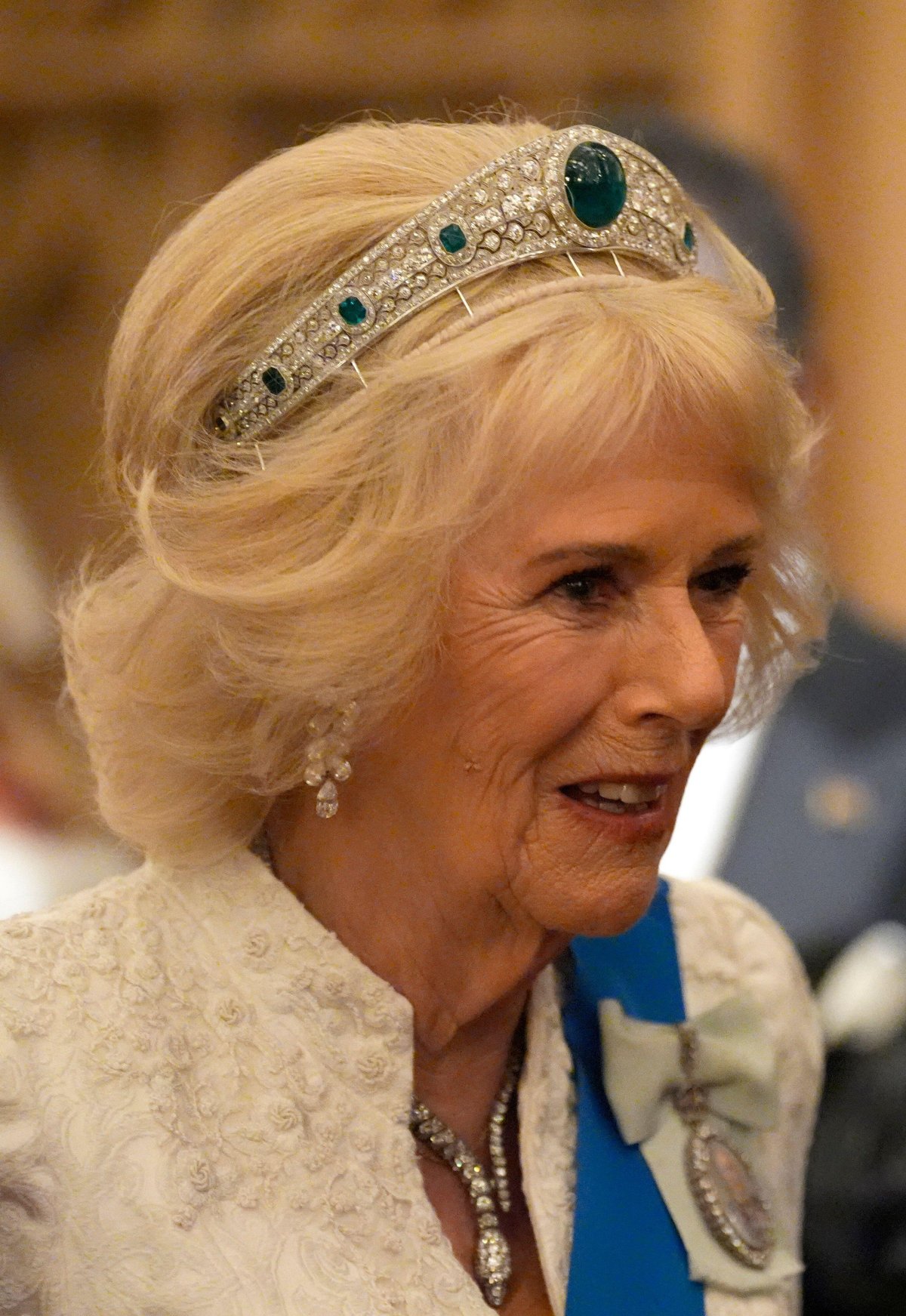 Queen Camilla attends the annual Diplomatic Reception at Windsor Castle on November 18, 2025 (Andrew Matthews/PA Images/Alamy)