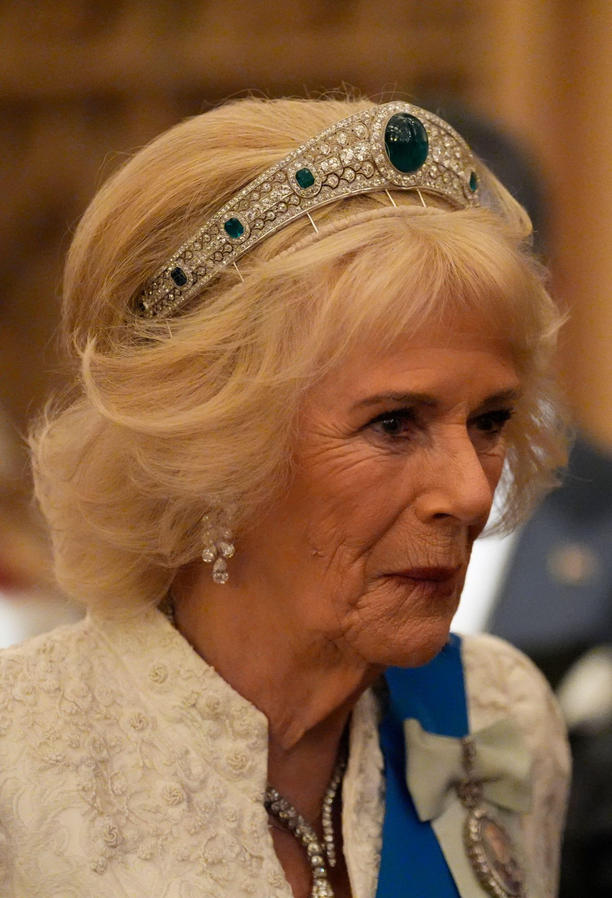 Queen Camilla attends the annual Diplomatic Reception at Windsor Castle on November 18, 2025 (Andrew Matthews/PA Images/Alamy)