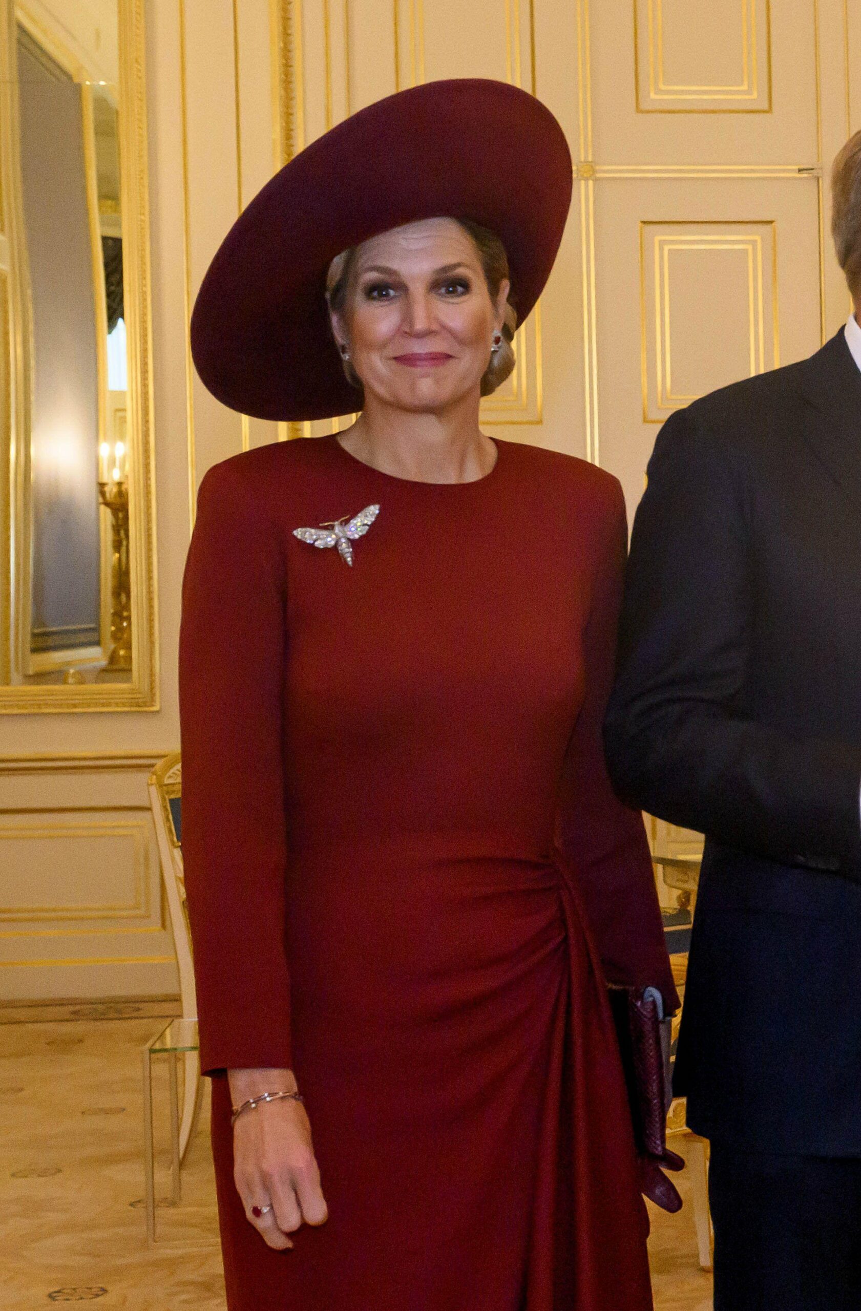 The King and Queen of the Netherlands host a lunch for the Grand Duke and Grand Duchess of Luxembourg at at Noordeinde Palace in The Hague on November 19, 2025 (Patrick van Emst/NLBeeld/Alamy)