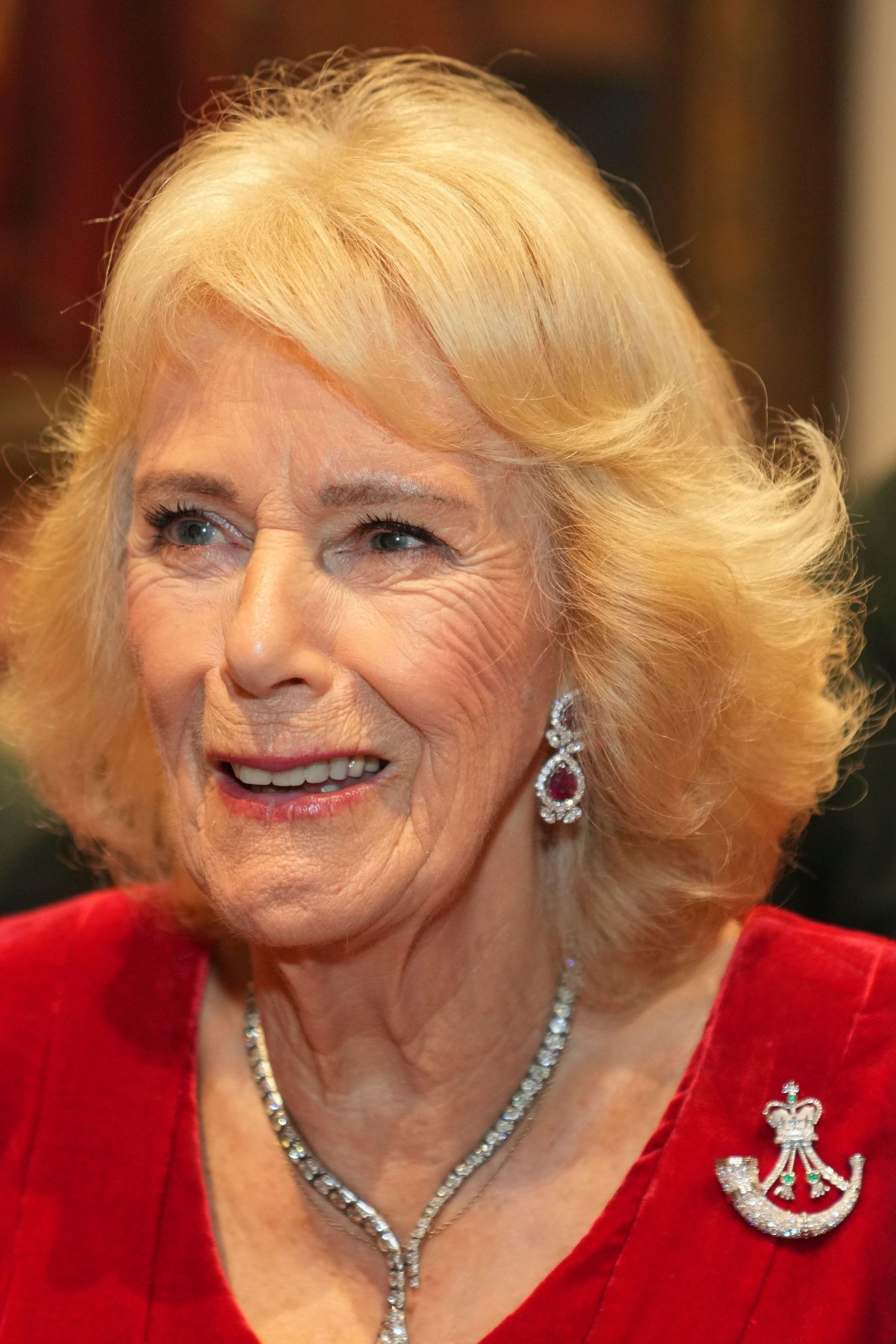 Queen Camilla attends the Rifles Awards Dinner at the Guildhall in London on November 27, 2025 (Kin Cheung/PA Images/Alamy)