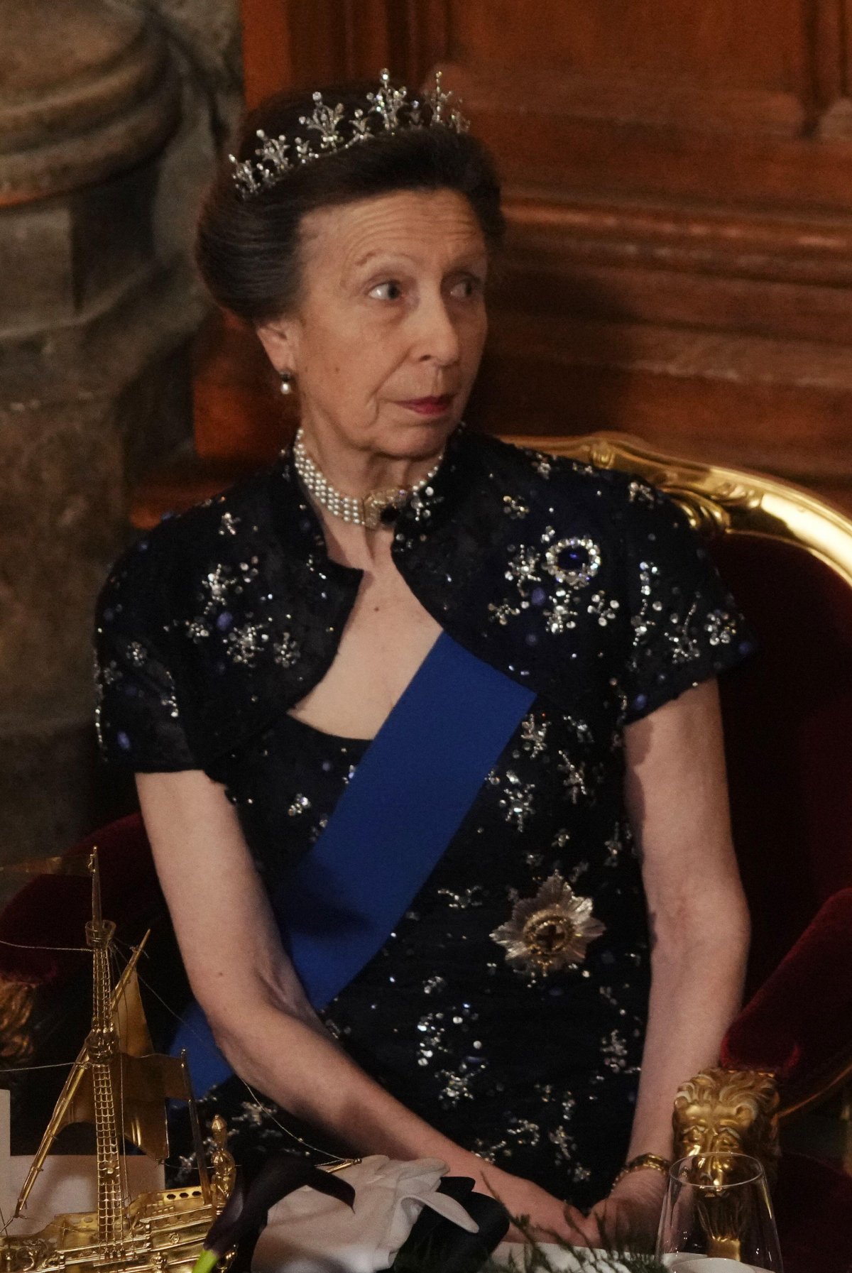 The Princess Royal attends a dinner in honor of the President of Germany at the Guildhall in London on December 4, 2025 (Jeff Moore/PA Images/Alamy)