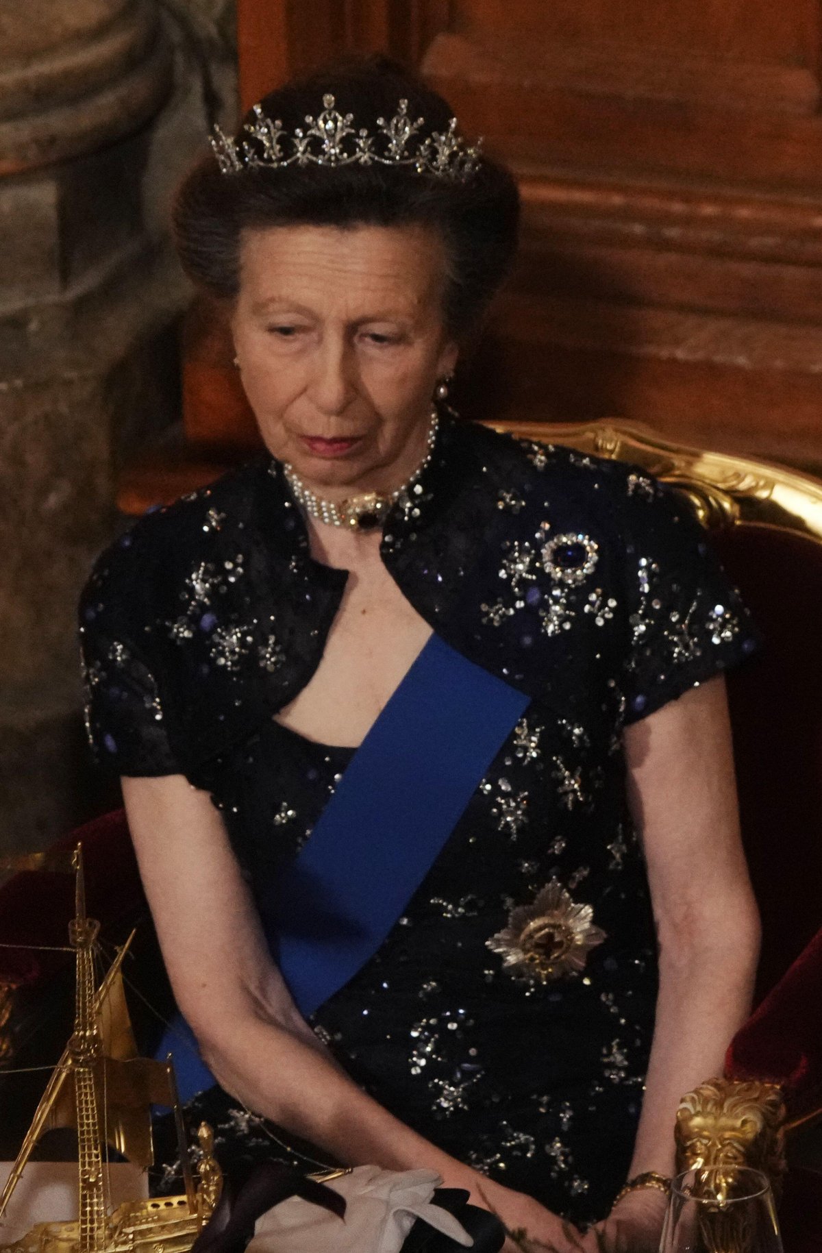 The Princess Royal attends a dinner in honor of the President of Germany at the Guildhall in London on December 4, 2025 (Jeff Moore/PA Images/Alamy)