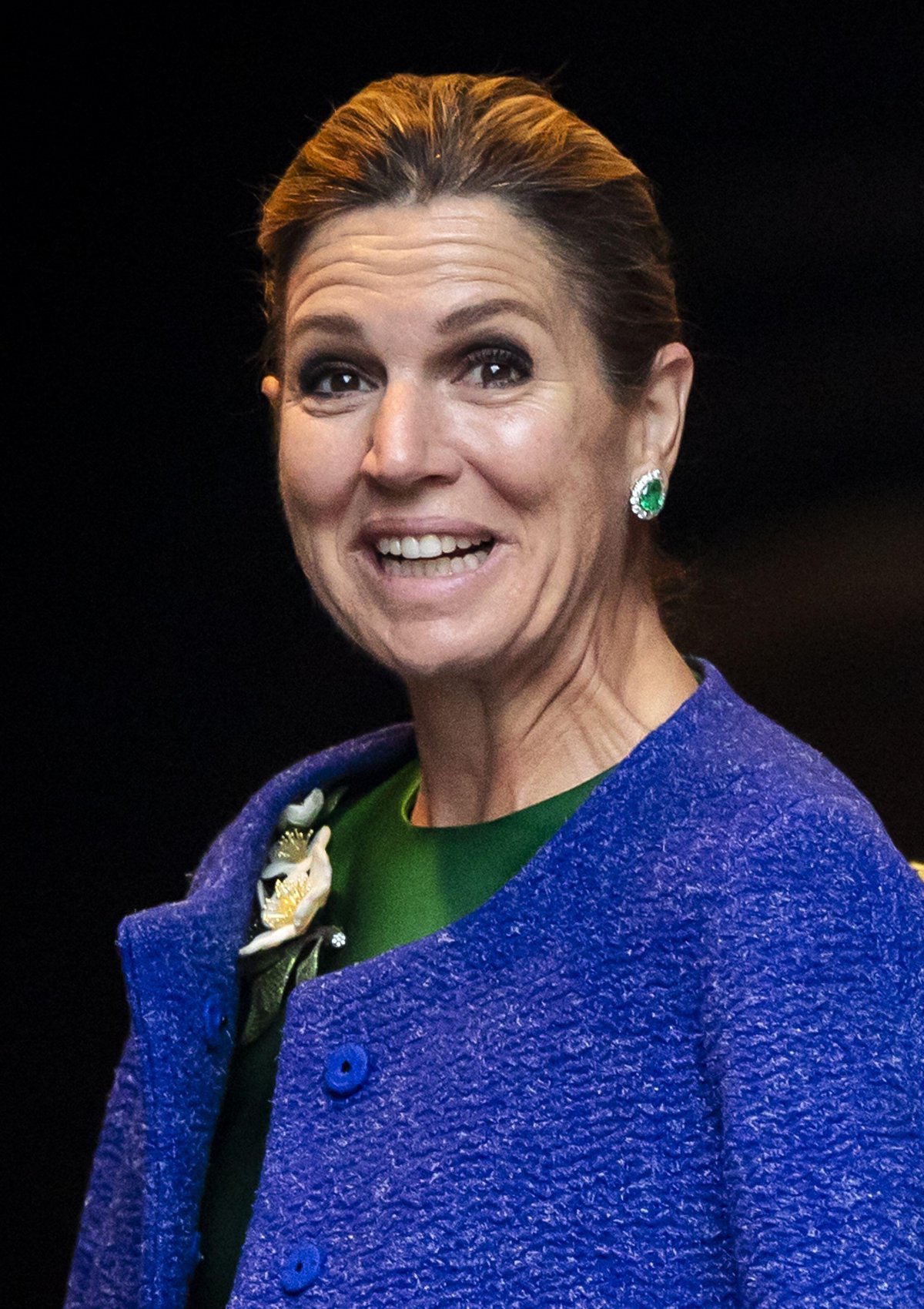 The King and Queen of the Netherlands arrive for a diplomatic corps reception at the Royal Palace in Amsterdam on January 13, 2026 (REMKO DE WAAL/ANP/Alamy)