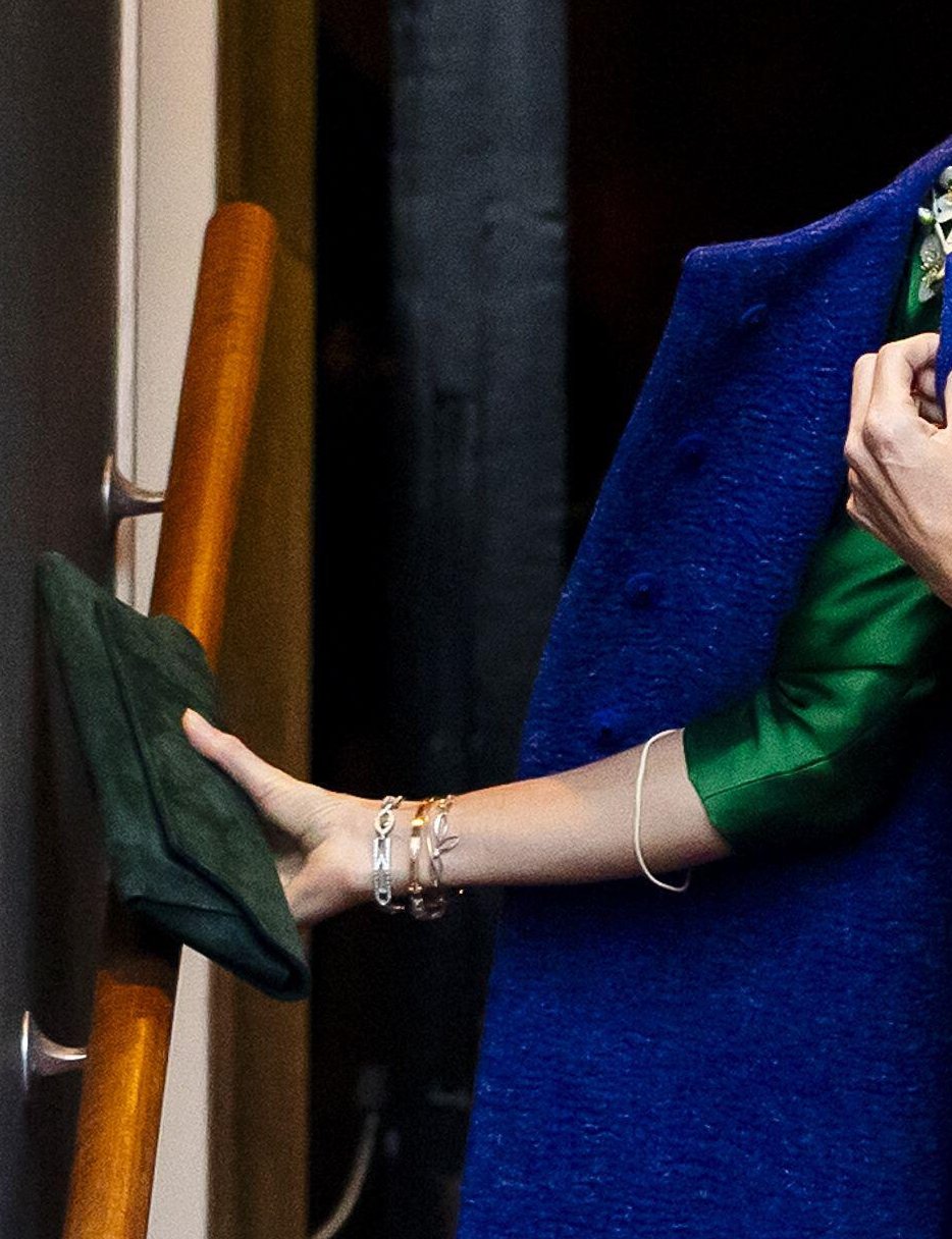 The King and Queen of the Netherlands arrive for a diplomatic corps reception at the Royal Palace in Amsterdam on January 13, 2026 (REMKO DE WAAL/ANP/Alamy)