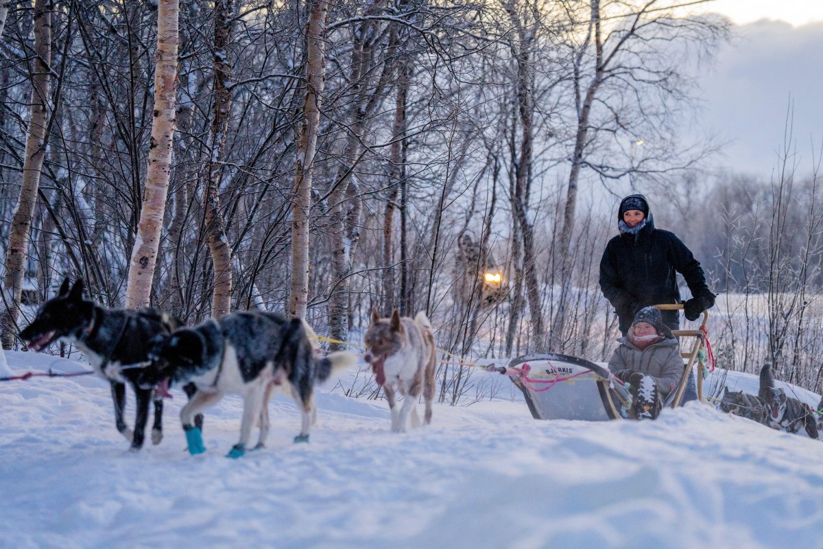 Princess Ingrid Alexandra of Norway drives a dog sled from Grensefjellet on the border with Russia back towards Kirkenes during her first official trip to Finnmark on January 27, 2026 (Fredrik Varfjell/NTB/Alamy)