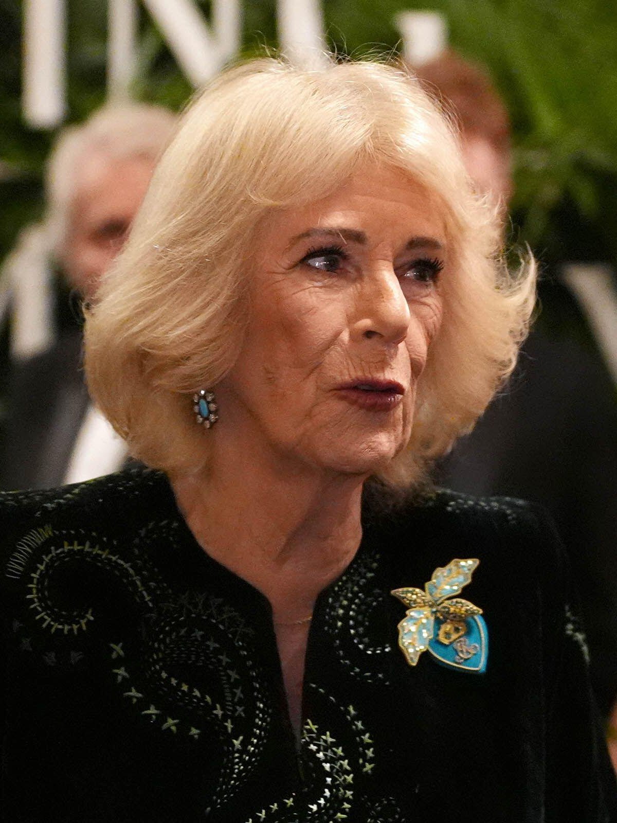 King Charles III and Queen Camilla attend the premiere of Finding Harmony: A King's Vision at Windsor Castle on January 28, 2026 (Jonathan Brady/PA Images/Alamy)