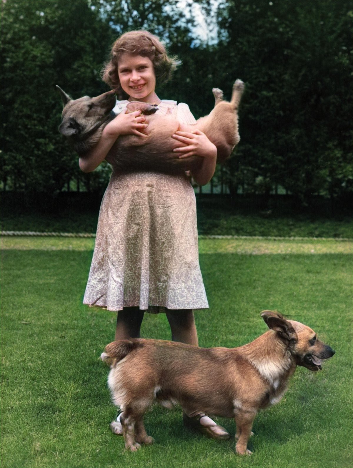 Princess Elizabeth plays with the family corgis in the gardens at 145 Piccadilly in London, 1936 (Chroma Collection/Alamy)