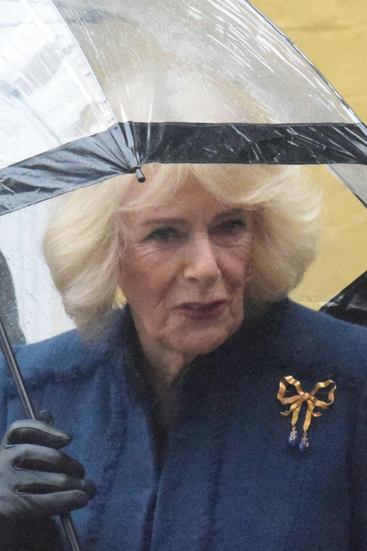 King Charles III and Queen Camilla are pictured during their royal visit to Dedham, a small village on the borders of Essex and Suffolk, on February 5, 2026 (James Taylor/Alamy)