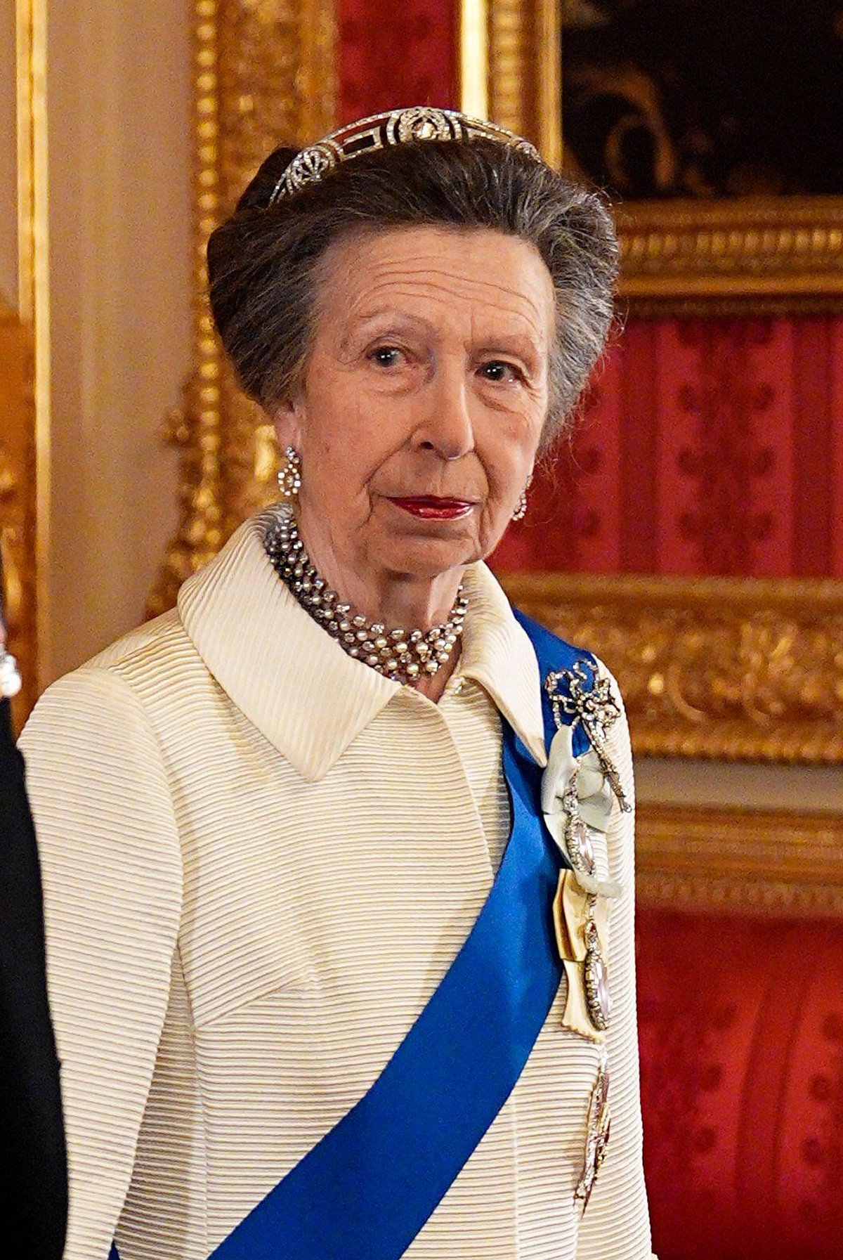 The Princess Royal attends a state banquet in honor of the President of Nigeria at Windsor Castle on March 18, 2026 (Aaron Chown/PA Images/Alamy)