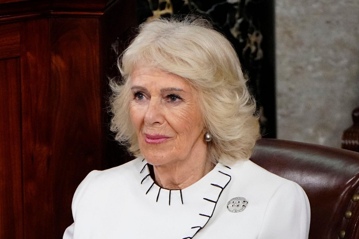 King Charles III speaks before a joint session of Congress in Washington, D.C. on April 28, 2026 (Bonnie Cash/UPI/Alamy)