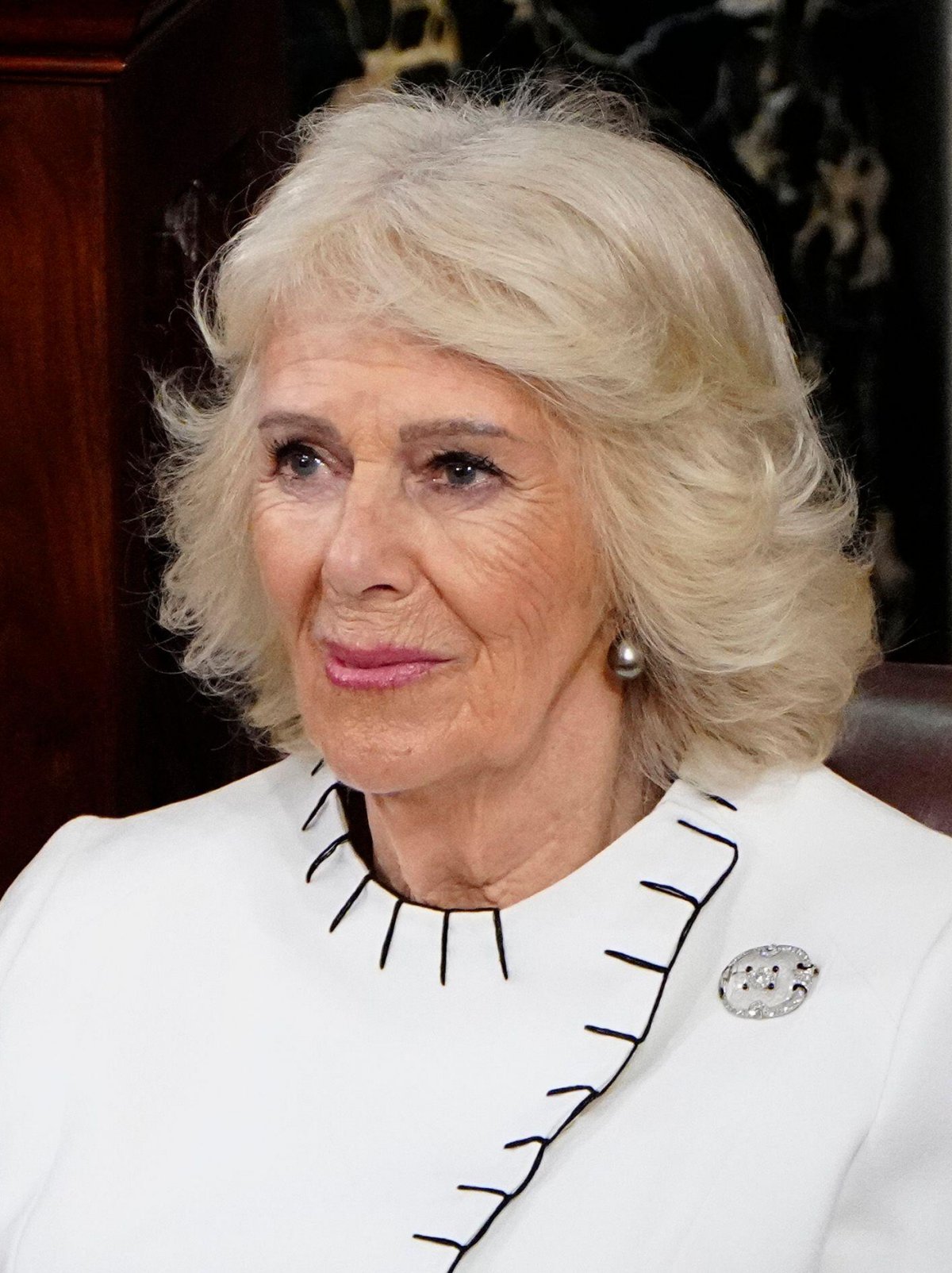 King Charles III speaks before a joint session of Congress in Washington, D.C. on April 28, 2026 (Bonnie Cash/UPI/Alamy)