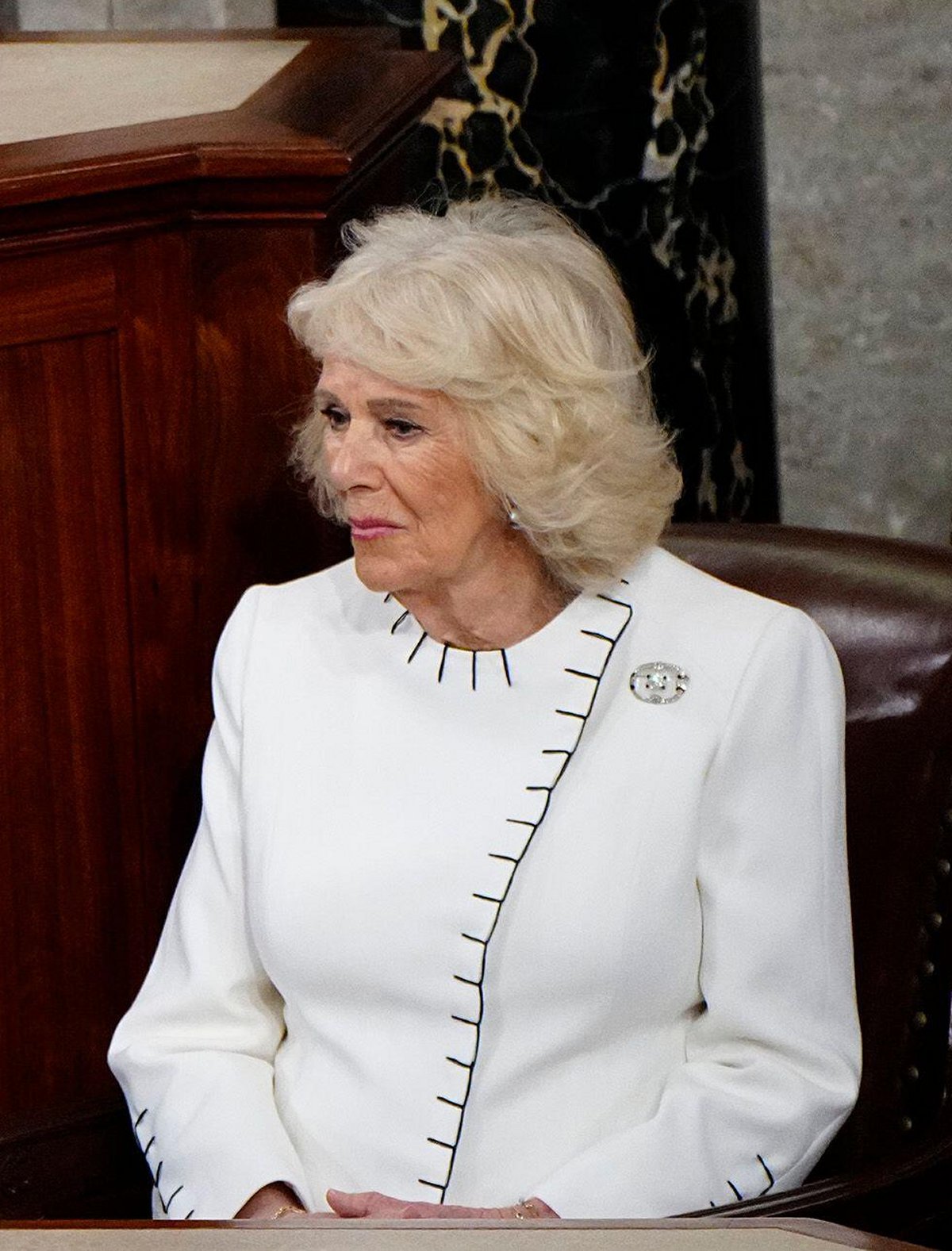 King Charles III speaks before a joint session of Congress in Washington, D.C. on April 28, 2026 (Bonnie Cash/UPI/Alamy)