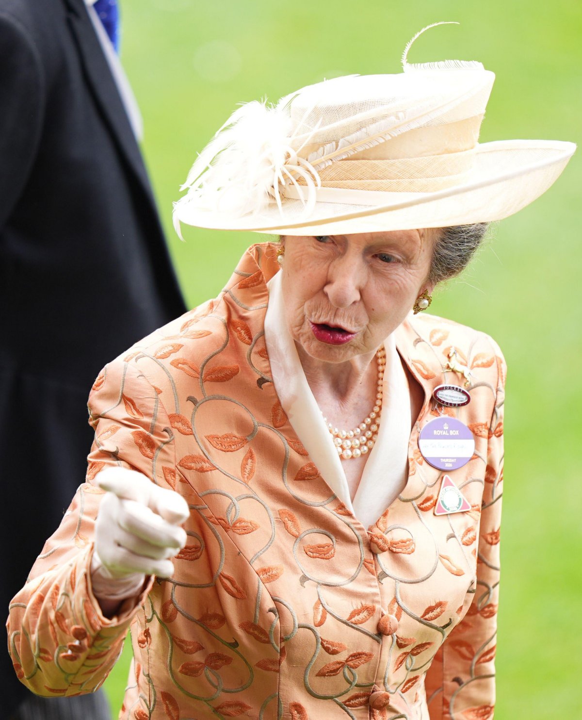 The Princess Royal attends Royal Ascot on June 18, 2026 (Aaron Chown/PA Images/Alamy)
