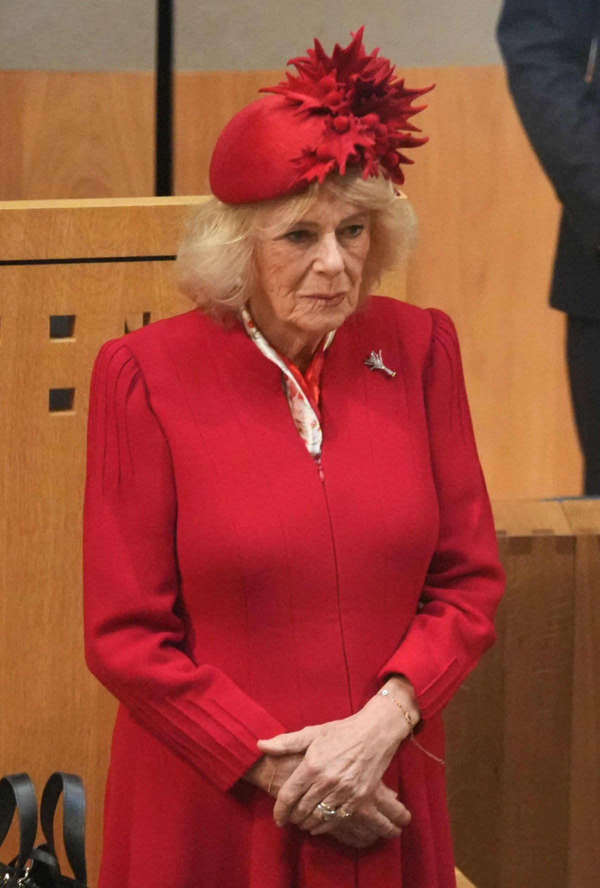 The King and Queen of the United Kingdom attend the ceremonial opening of the Senedd in Cardiff on October 15, 2026 (Alistair Grant/PA Images/Alamy)